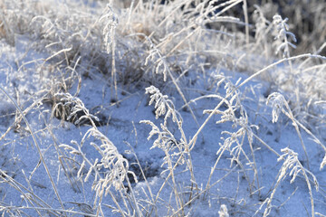 winter north of russia