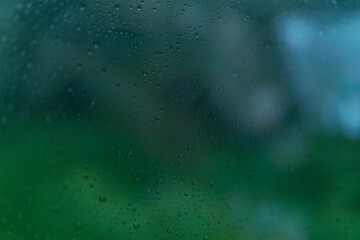 Water drop in rainy season.