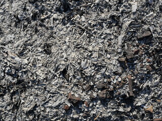 Gray with brown and white abstract lines on black surface , The ashes of the burned tree , Texture for add text or graphic design 
