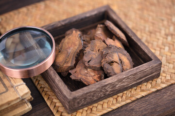 Rhubarb in a wooden box and a magnifying glass