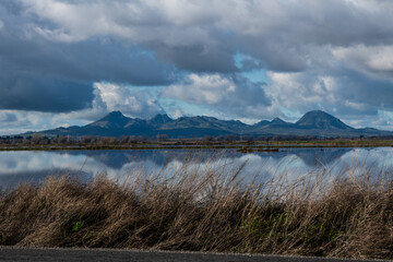 Sutter Buttes mountains with a rice field in the foreground. 