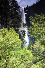Water fall in nature green trees.