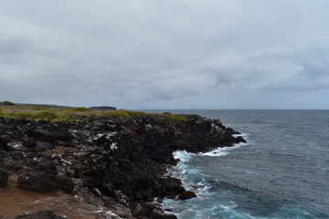 waves crashing on a rock