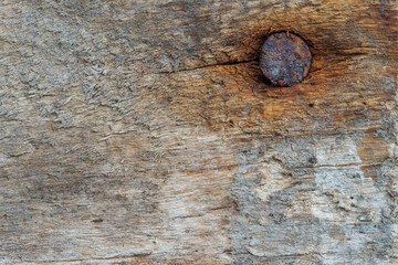 Ein rostiger, alter Nagel steckt in einem Stück Holz