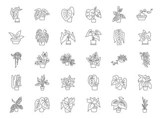 Indoor plant line icon set. Included the icons as a houseplant, pot plant, botanical, garden, and more.