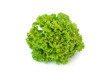 Fototapeta premium Close up lactuca sativa leaves isolated on white background.