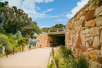 Fototapeta premium Walkway underpass to the 12 Apostles lookout boardwalk on the Great Ocean Road