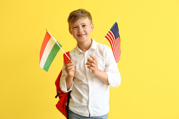 Pupil of language school with different flags on color background