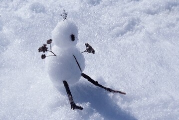 Petit bonhomme de neige sur un champ de neige