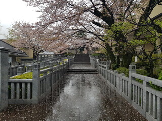Photos form japan. Toyoko, Hiroshima, Nagasaki