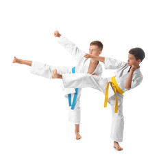 Little boys practicing karate on white background