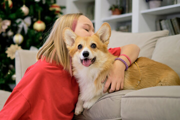 Little dog with owner playing and having fun. young teen girl sitting on the couch with her pet....