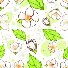 Hand drawn background seamless pattern with jasmine flower