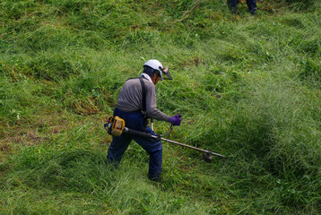 耕作放棄地の草刈りをする作業員