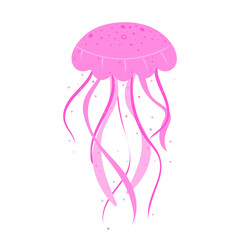 Hand drawn vector jellyfish. Sea nettle; jellyfish; Vector illustration.