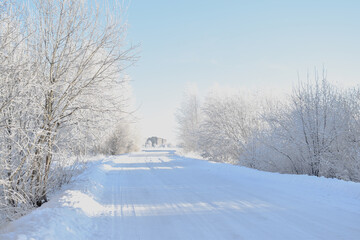 Winter landscape. Nature in winter. Snowy winter. A sunny winter day. December.