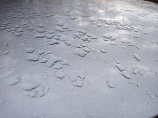 Drops jn the surface