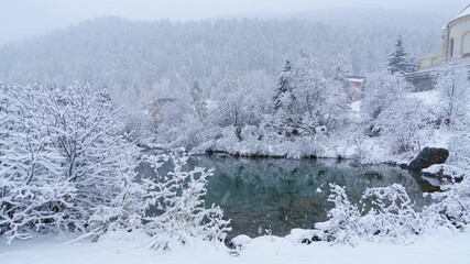frozen forest with snow near cold pond in ortler valley, south tyrol