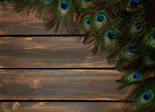 peafowl feather on wooden surface