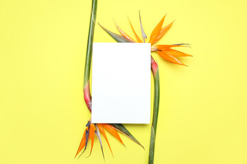 Blank card and beautiful bird of paradise flowers on yellow background