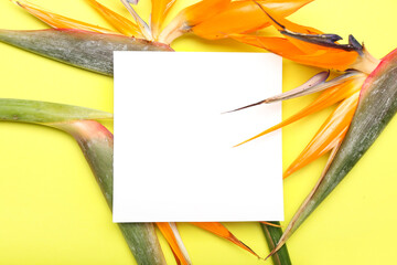 Blank card and beautiful bird of paradise flowers on yellow background, closeup
