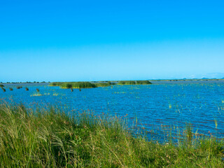Fototapeta na wymiar A pristine lagoon on the wild coast of iSimangaliso Wetland Park. Maputaland, an area of KwaZulu-Natal on the east coast of South Africa. Wetland Park of ecosystems and an diversity of vegetation.