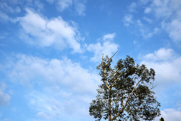 Obraz premium sky and clouds