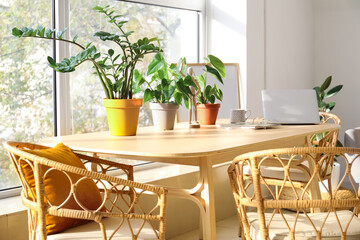 Wooden table with laptop and houseplants in light living room
