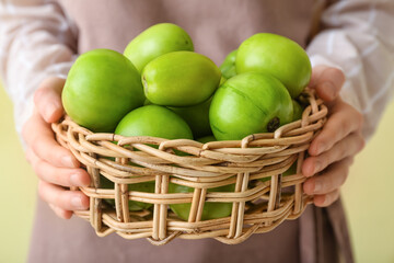 Woman holding wicker basket with green tomatoes on color background, closeup