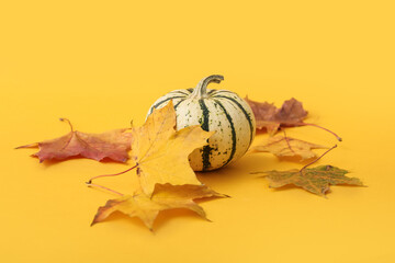 Ripe beautiful pumpkin and fallen leaves on orange background