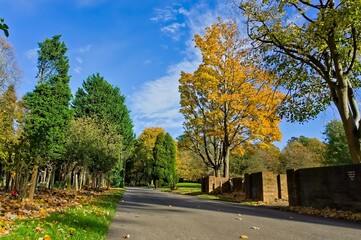 Autumn in parkland at the Boston Victorian Cemetery UK