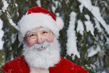 Horizontal close-up portrait of kind senior man wearing Santa Claus costume with eyeglasses standing in winter fir tree forest looking at camera