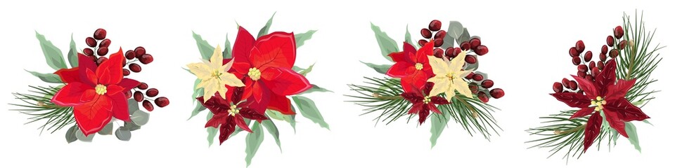 Floral vector elements for Christmas design. Red and light poinsettia, berries, spruce branches, eucalyptus, green leaves and plants. Flower compositions on a white background.