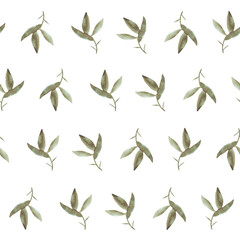 Botanical watercolor seamless pattern. Simple green plant leafs, branches on white background