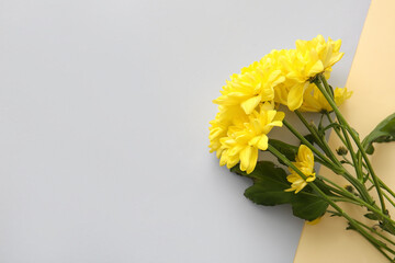 Yellow chrysanthemum flowers on light background