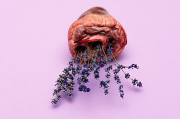Real animal heart filled with lavender flowers. Creative love, St Valentine holiday, sustainability concept.
