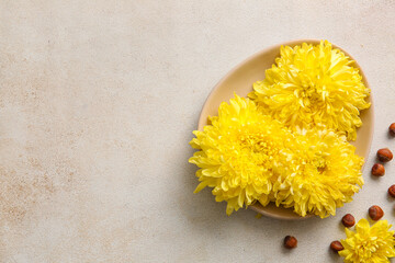 Hazelnuts and plate with yellow chrysanthemum flowers on light background