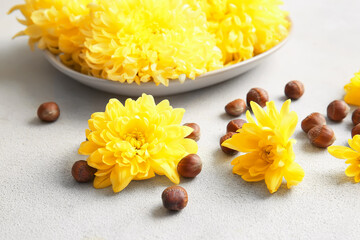 Hazelnuts and plate with yellow chrysanthemum flowers on light background