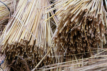 bundles of thatch grass