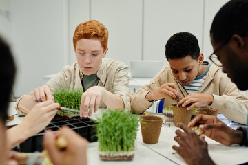 Diverse group of kids planting seeds while experimenting during biology class in school
