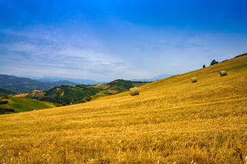 Plakat Country landscape near Appignano del Tronto, Marche, Italy