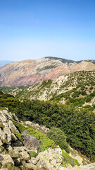Sicily mountains Parco delle Madonie with a rocks and forests