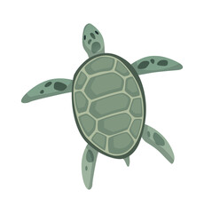Turtle character. Green sea or ocean tortoise swimming. Wildlife animal in shell. Flat  illustration isolated on white background