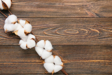 Cotton flowers on wooden background
