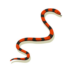 Venomous snake. Danger color animal. Poisonous reptile crawl. Decorative character, wildlife nature animal