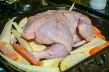 A chicken in a roasting tin prepared and ready for the oven where it will be roasted with sliced parsnips and carrots. - obrazy, fototapety, plakaty