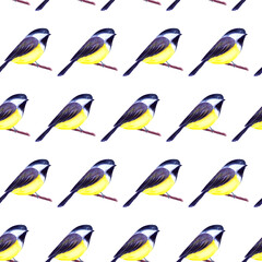 Watercolor seamless pattern with titmouse birds on twigs