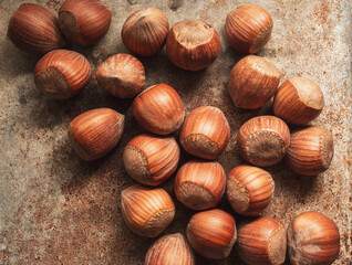 hazelnuts on a rustic background .