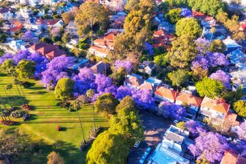 D Jacar park side no sky
