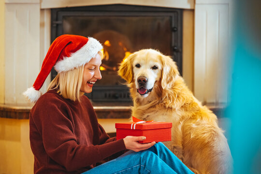 Young woman celebrating New Year at home with her dog. Dog is wearing costume, she is smiling and enjoy in holiday. Photo of young woman and her dog enjoying together at home in a Christmas atmosphere